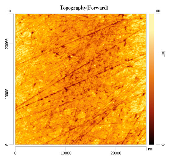 超硬合金上の膜厚0.5μmのセルテスＮコーティングの24μm 角領域のAFM平面画像