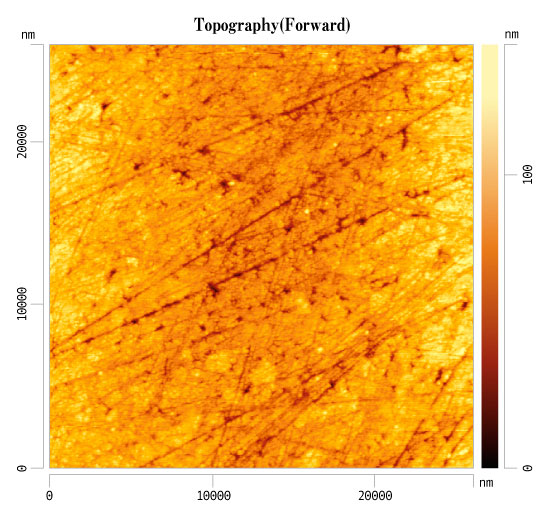 超硬合金上の膜厚0.5μmのセルテスNコーティングの24μm 角領域のAFM平面画像 超硬合金上の膜厚0.5μmのセルテスNコーティングの24μm 角領域のAFM平面画像